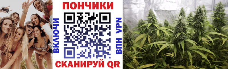 Бошки Шишки конопля Мирный